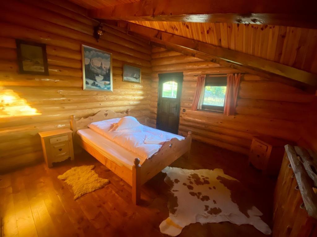 Cabana Vanatorului Рышнов Экстерьер фото
