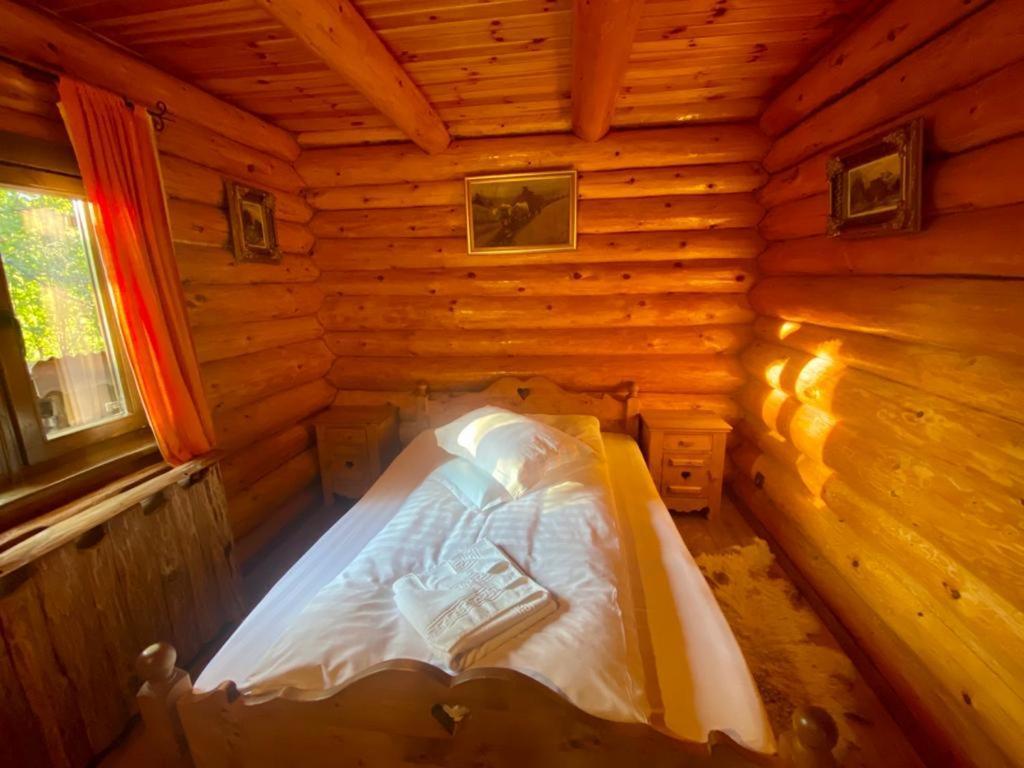 Cabana Vanatorului Рышнов Экстерьер фото