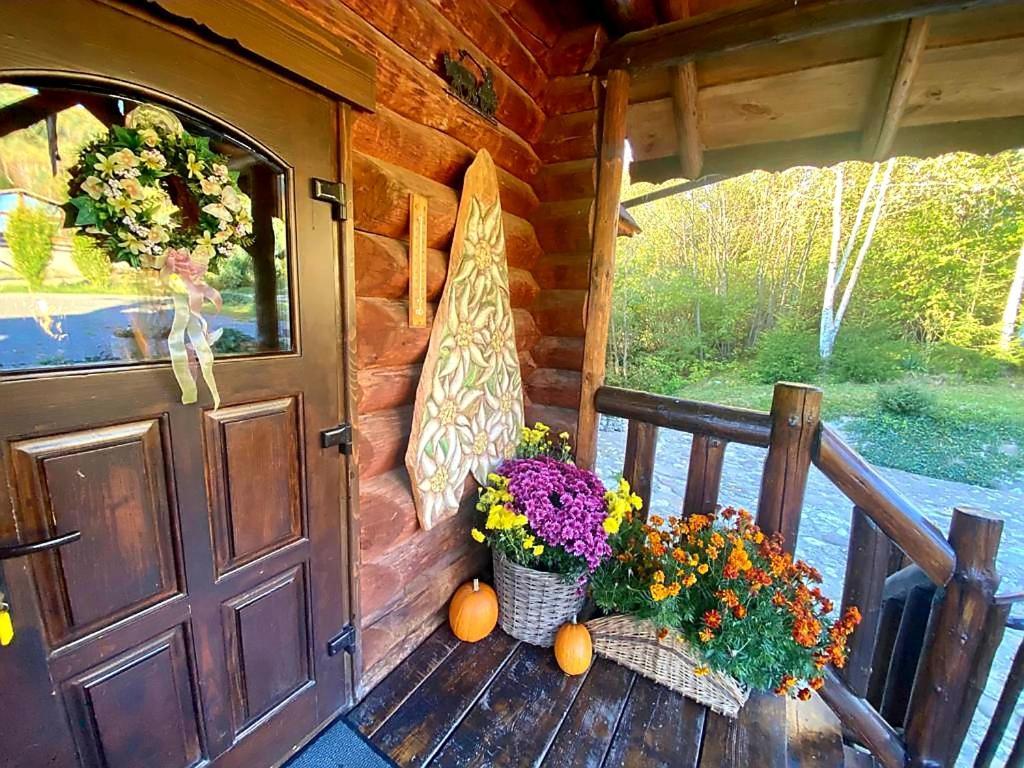 Cabana Vanatorului Рышнов Экстерьер фото