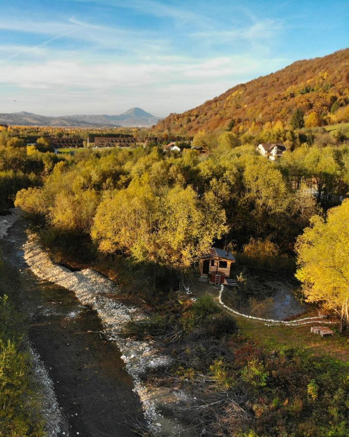 Cabana Vanatorului Рышнов Экстерьер фото