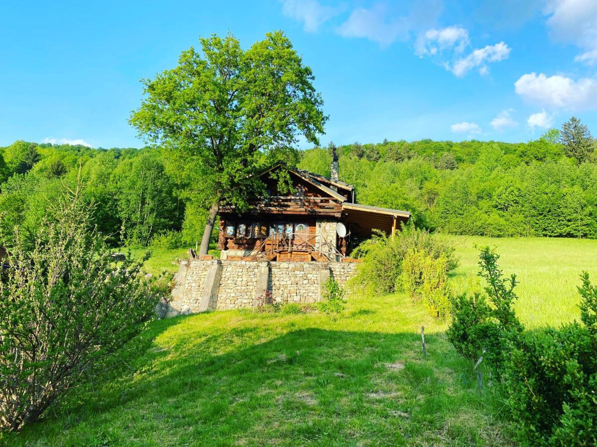 Cabana Vanatorului Рышнов Экстерьер фото
