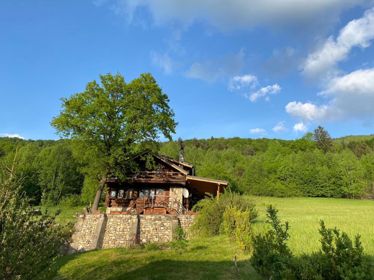Cabana Vanatorului Рышнов Экстерьер фото