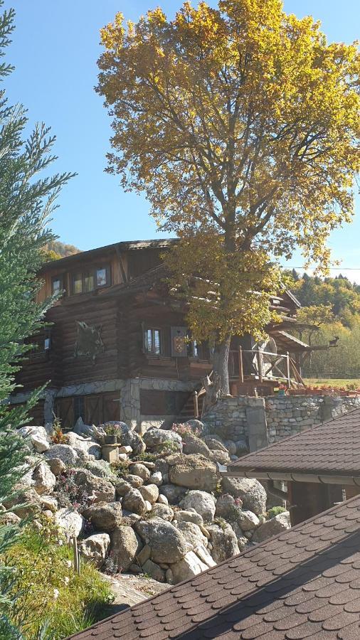 Cabana Vanatorului Рышнов Экстерьер фото