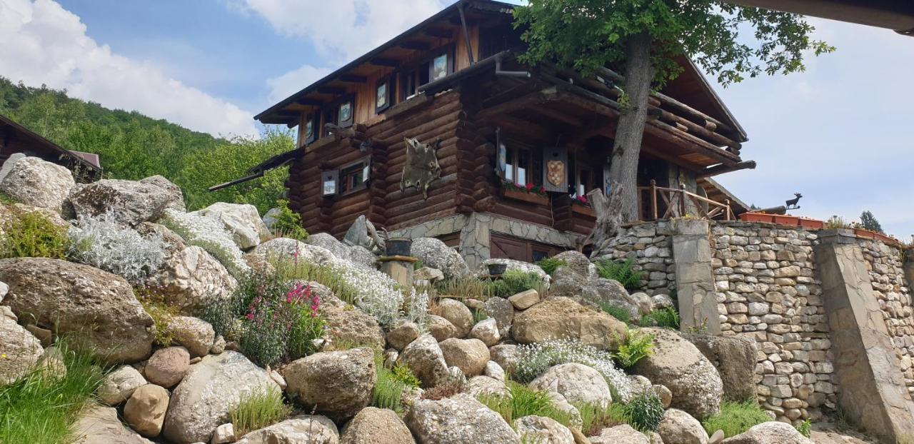 Cabana Vanatorului Рышнов Экстерьер фото